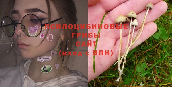 амф Осташков