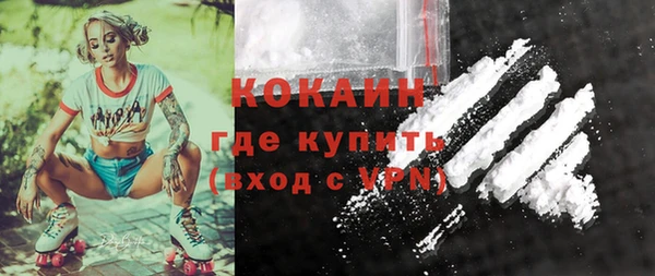 стаф Балахна