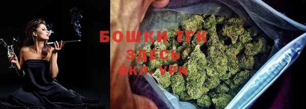 амф Осташков