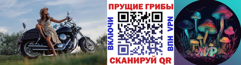 даркнет как зайти  цены   Трёхгорный  Псилоцибиновые грибы мицелий 